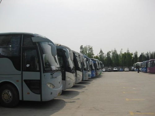 郑州四海租车 专业大巴婚庆及商务汽车租赁服务